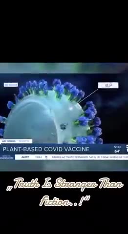 Plant based vaccines