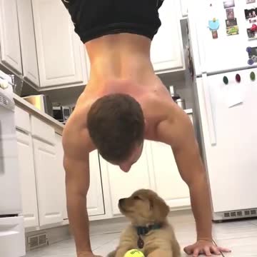 Best friends never leave you alone dog