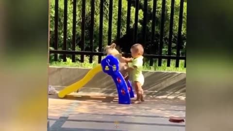Funny_Animal_Videos_2023_-Funniest_Cats_and_Dogs_Videos__#funnyanimals_#happy_#funny(360p)