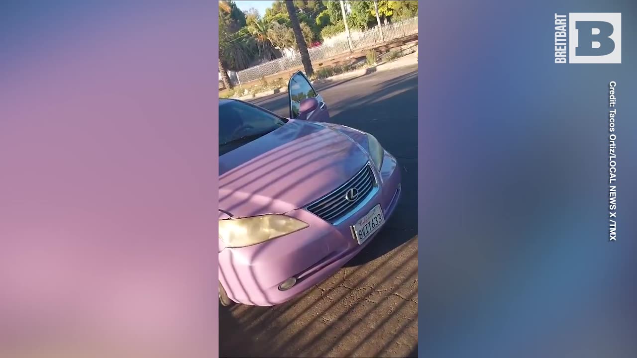 Woman Assaults Taco Vendor, Then Drives Away in a Pink Lexus