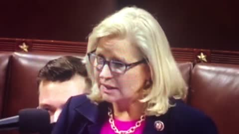 Liz Cheney admits to being a Democrat.