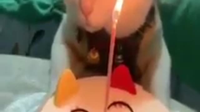 Funny petz birthday video 💁‍♀️🐎🍕🧒🏽🧒🏽