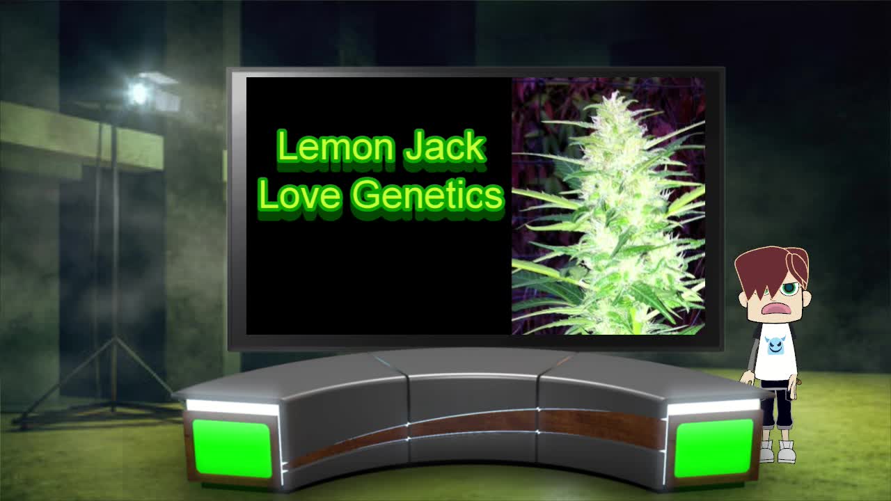 Lemon Cannabis Strains