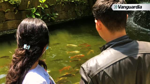 PARQUE DEL AGUA AMB KILO