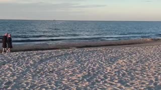 beach near the baltic sea