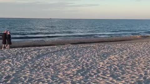 beach near the baltic sea