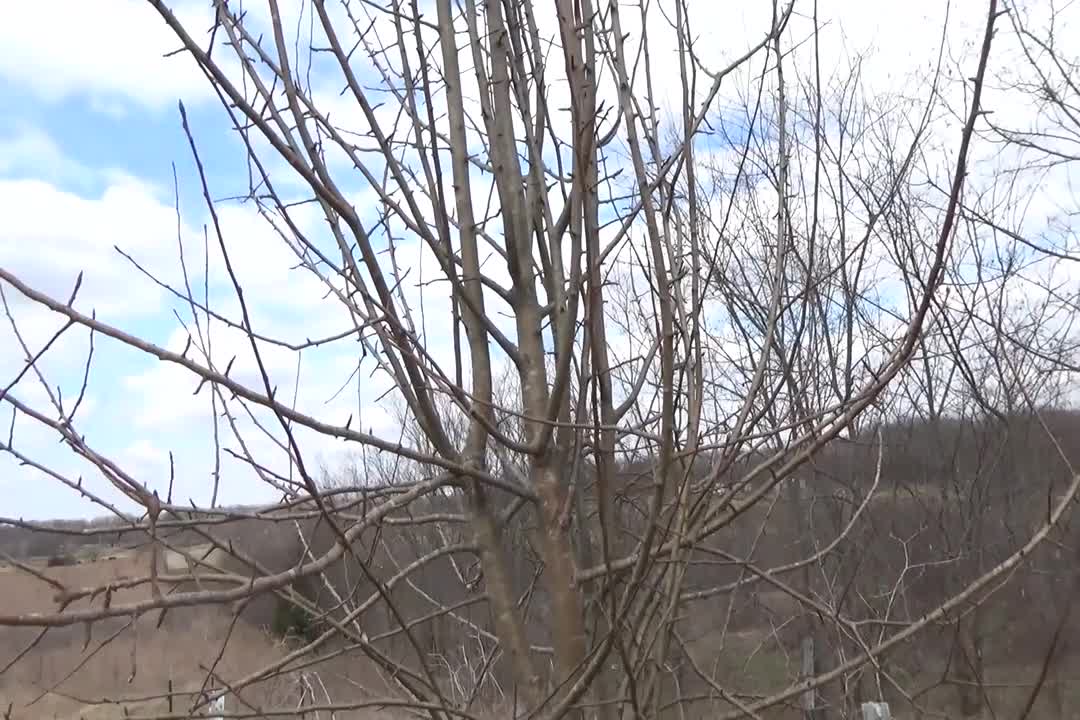 Spring Is Coming! Am I Ready?