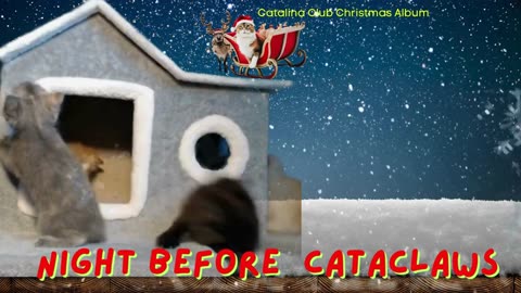 Catalina Cats Christmas Album Two