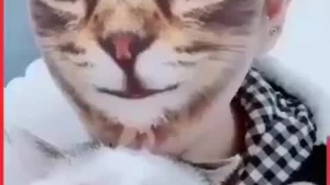 Prank the cats I laughed so hard 🤣🤣🤣🤣🤣