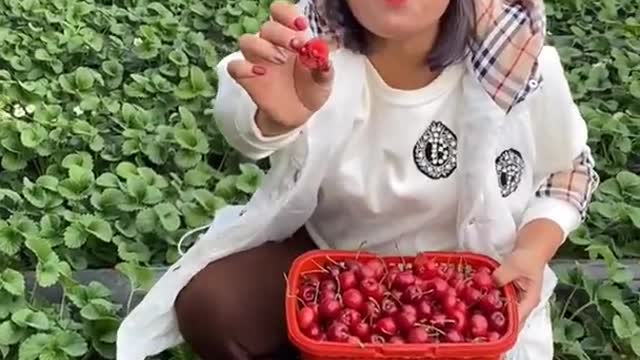 Farm Fresh Ninja Fruit Cutting Desi Satisfying Fruit Ninja Fruit Ideas | Amazing Fruits Video