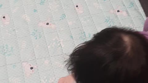 Baby eats puppy