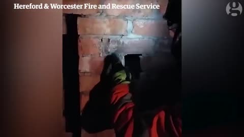 Fire brigade rescues cat from chimney