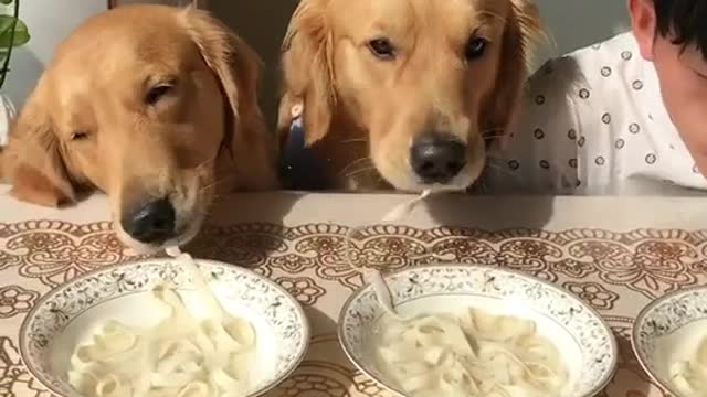 Noodle eating contest