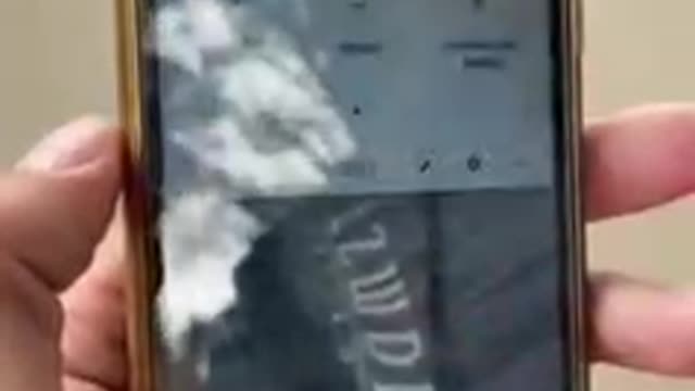 Celular no Parque do Ibirapuera em SP detecta picados