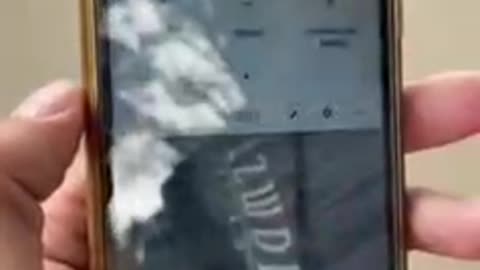 Celular no Parque do Ibirapuera em SP detecta picados