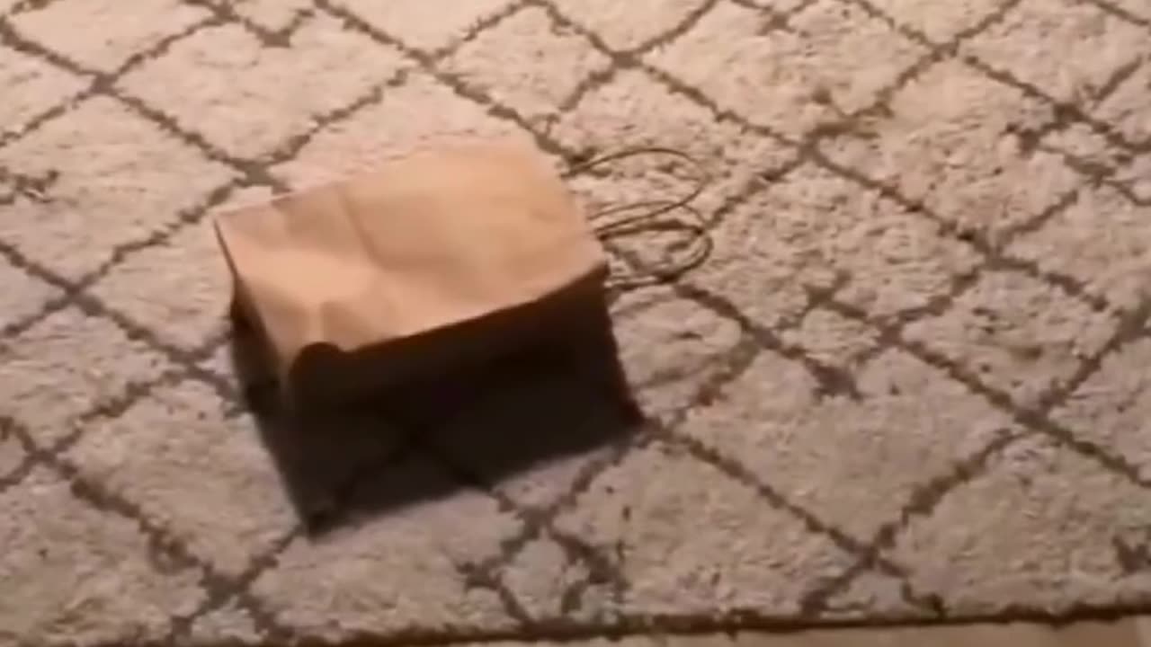 Funy