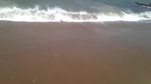 Filming the waves on the shore, the sea is always rough in this part [Nature & Animals]