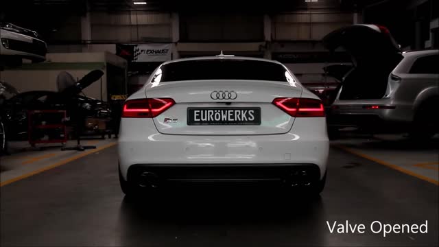 SO LOUD !! Audi S5 with Fi Exhaust sound like Race car !!!