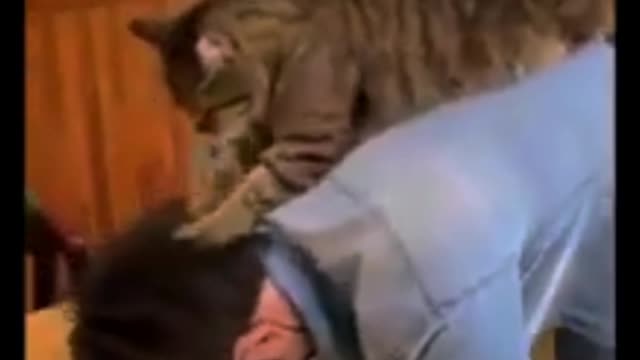 Omg So Cute Cats Best Funny Cat Videos 2021 part 4