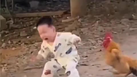 Cute baby vs hen funny