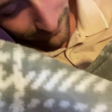 Clingy parrot wants some cuddles under a warm blanket