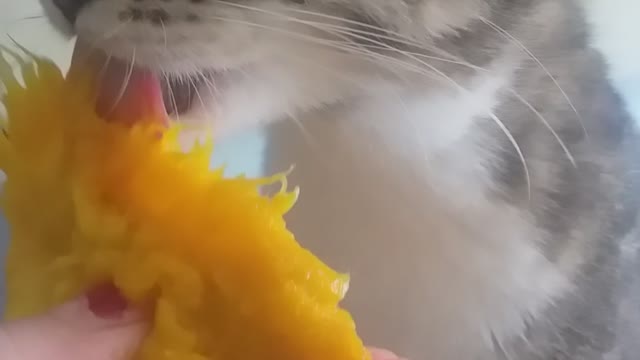 Dora eating mango