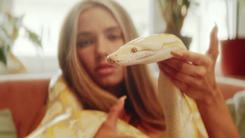 What do you think of buying a house snake?