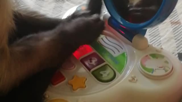 Мирон и игрушка