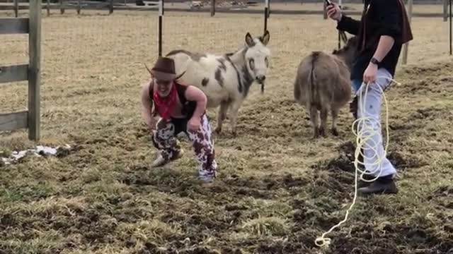 Dwarf man dressed in cowboy costume rides a donkey and falls off backwards