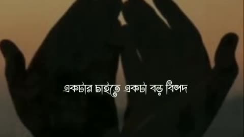 আমিম