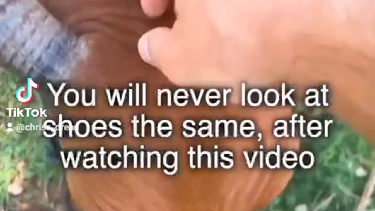 Walking on the grass, help your self