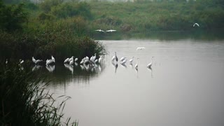 Beautiful Paesagem, where Natura Speaks Alone.