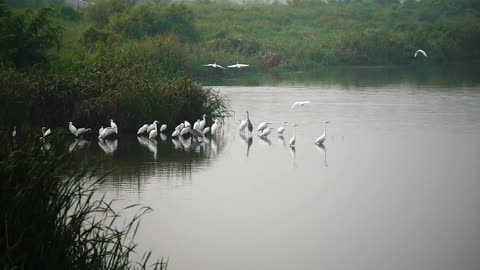 Beautiful Paesagem, where Natura Speaks Alone.