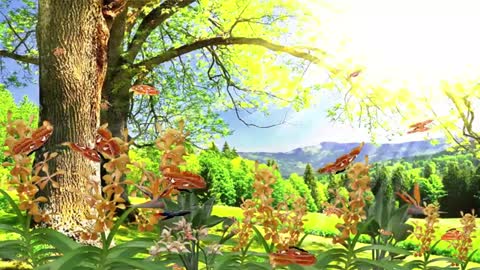 Relaxing Music | Sleeping, Meditation, Stress Relief | [6325] ⭐️