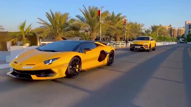 Lamborghini Aventador gang