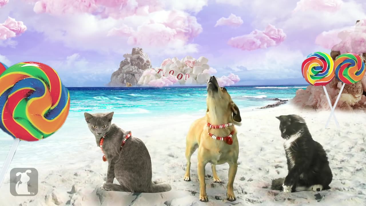 Katy Perry - California Gurls (ft Snoop Dog) - Katy Puppy - California Grrrs - Wide Awoof - Petody