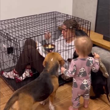 Lmao that’s not how it’s supposed to work 😂