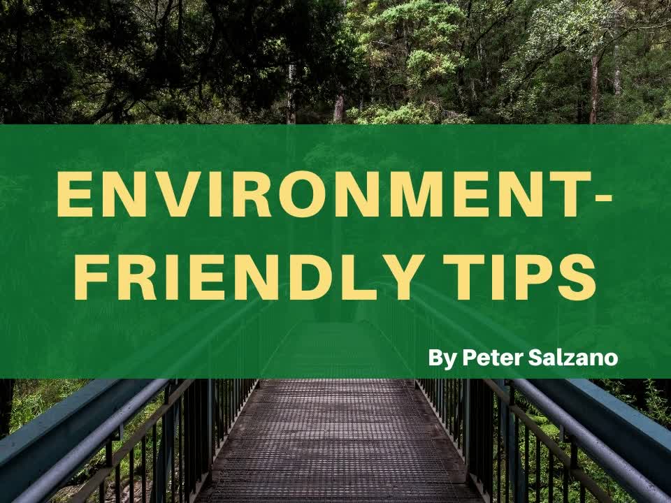 Peter J Salzano – Environment-friendly Tips