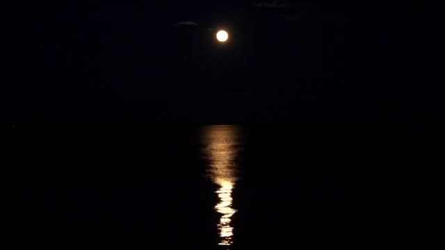 Soothing Relaxation | Meditative Music