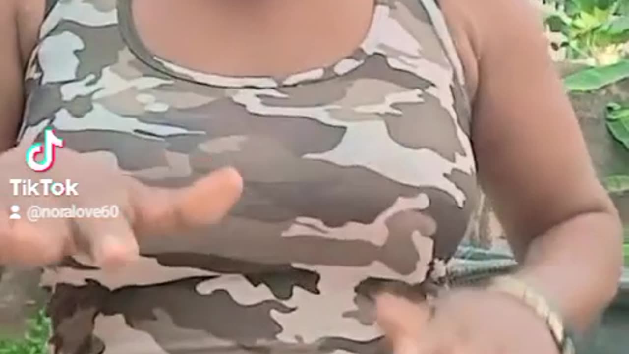 Entertainment