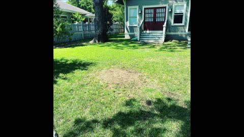 iGrind Stump Service - (469) 529-1445
