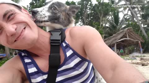 Grey and white dog jumps up on backwards hat guy on beach