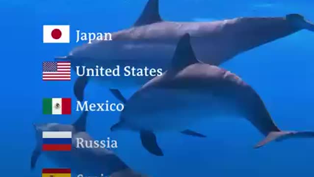 Japan#fishing