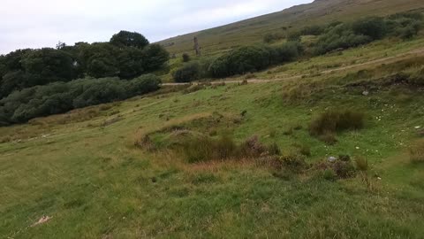 Dartmoor landscape