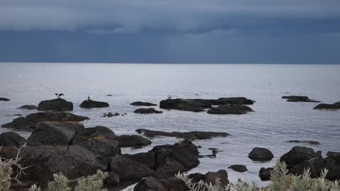 Williamstown beach Melbourne Australia