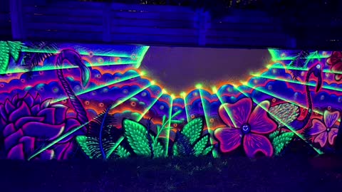 Flamingo land spray Paint fluorescent art Shoker
