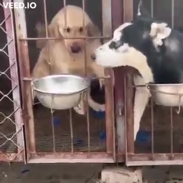 Just saw this one and made me chuckle. Enjoy!!!