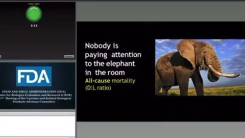 VAERS and C19 vaccines: the Elephant in the room that no one sees