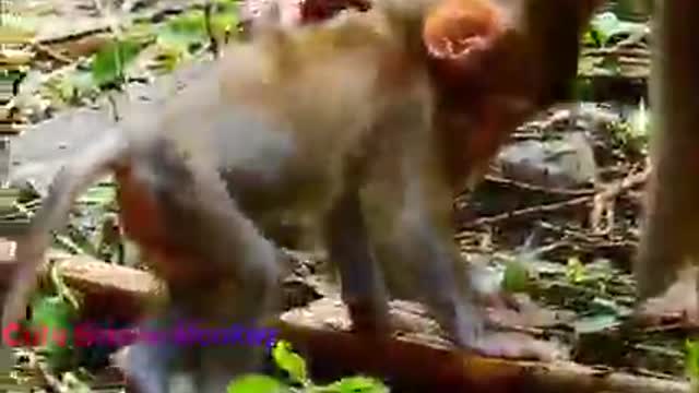 Most Hardly By Libby Torture On Neck