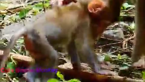 Most Hardly By Libby Torture On Neck